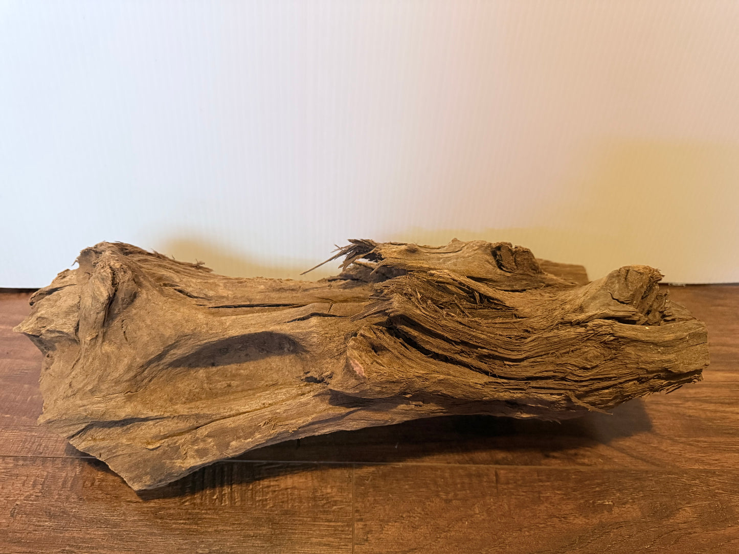 Malaysian Driftwood - Size Large, Assorted