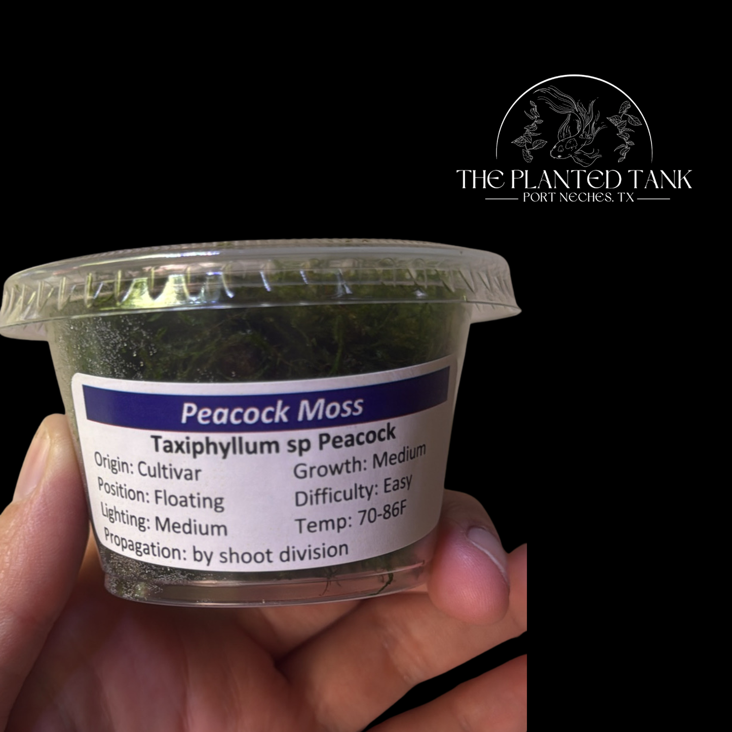Assorted Aquarium Mosses – 4 oz Portion