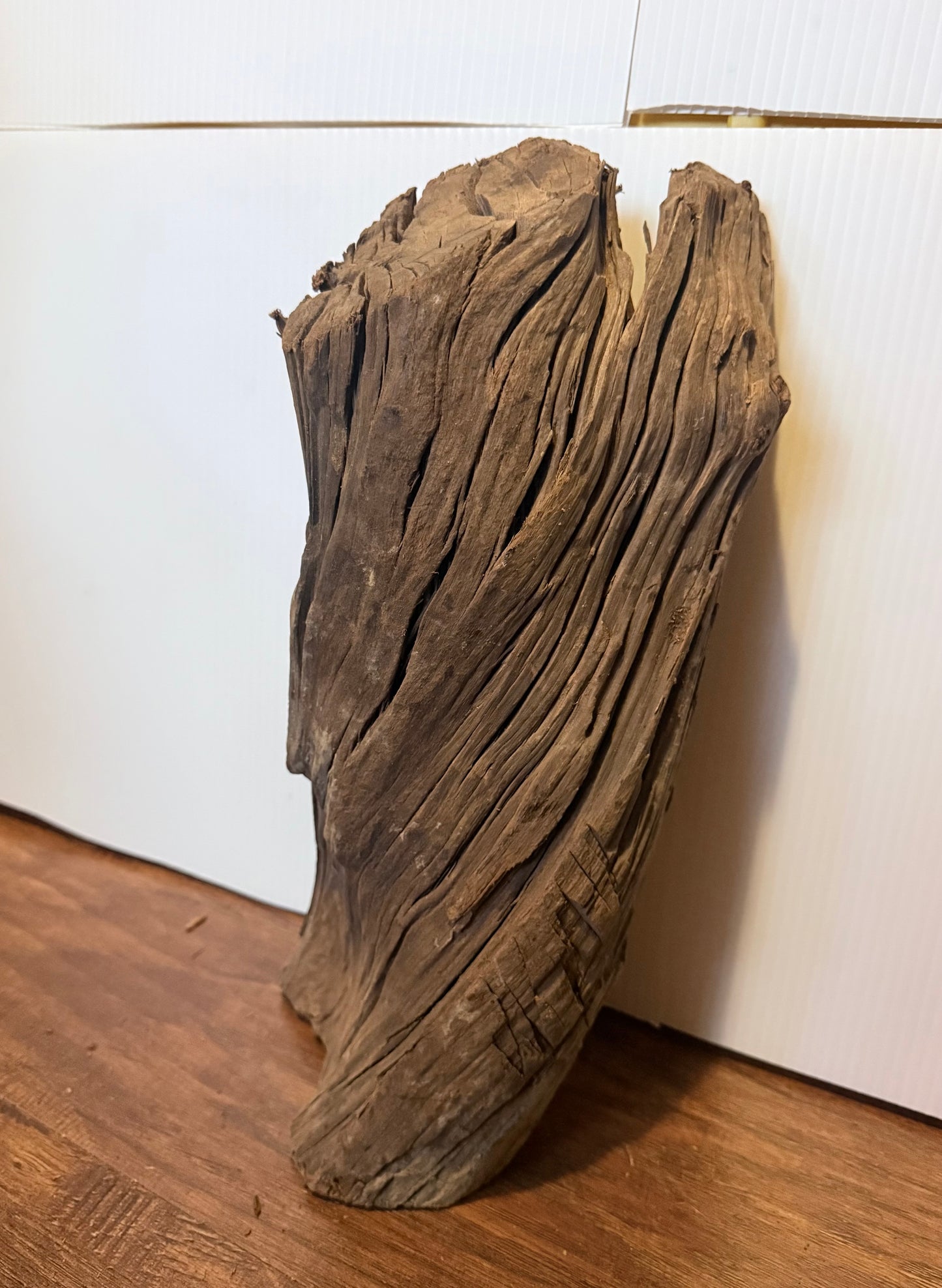 Malaysian Driftwood - Size Large, Assorted