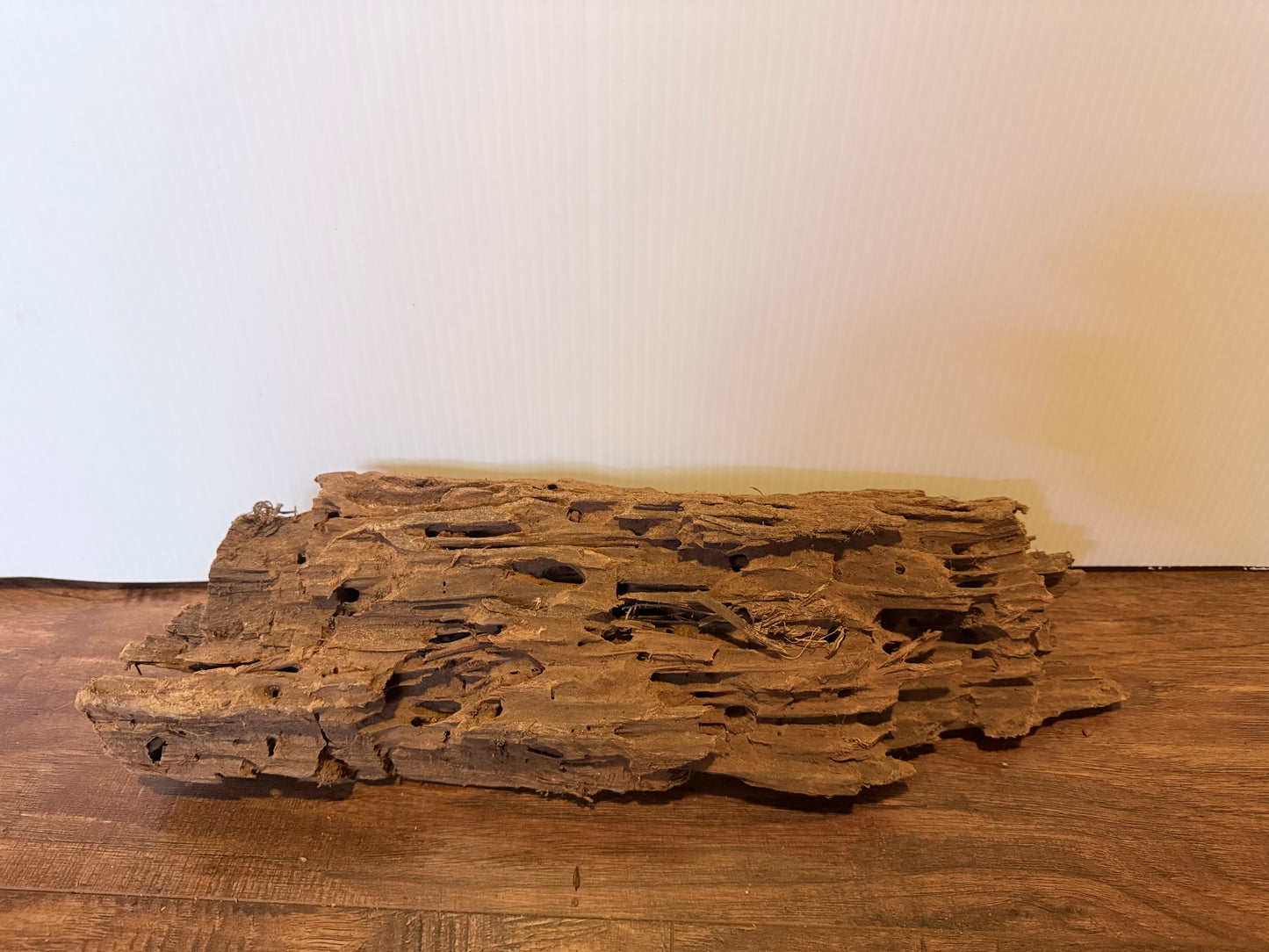 Malaysian Driftwood - Size Large, Assorted