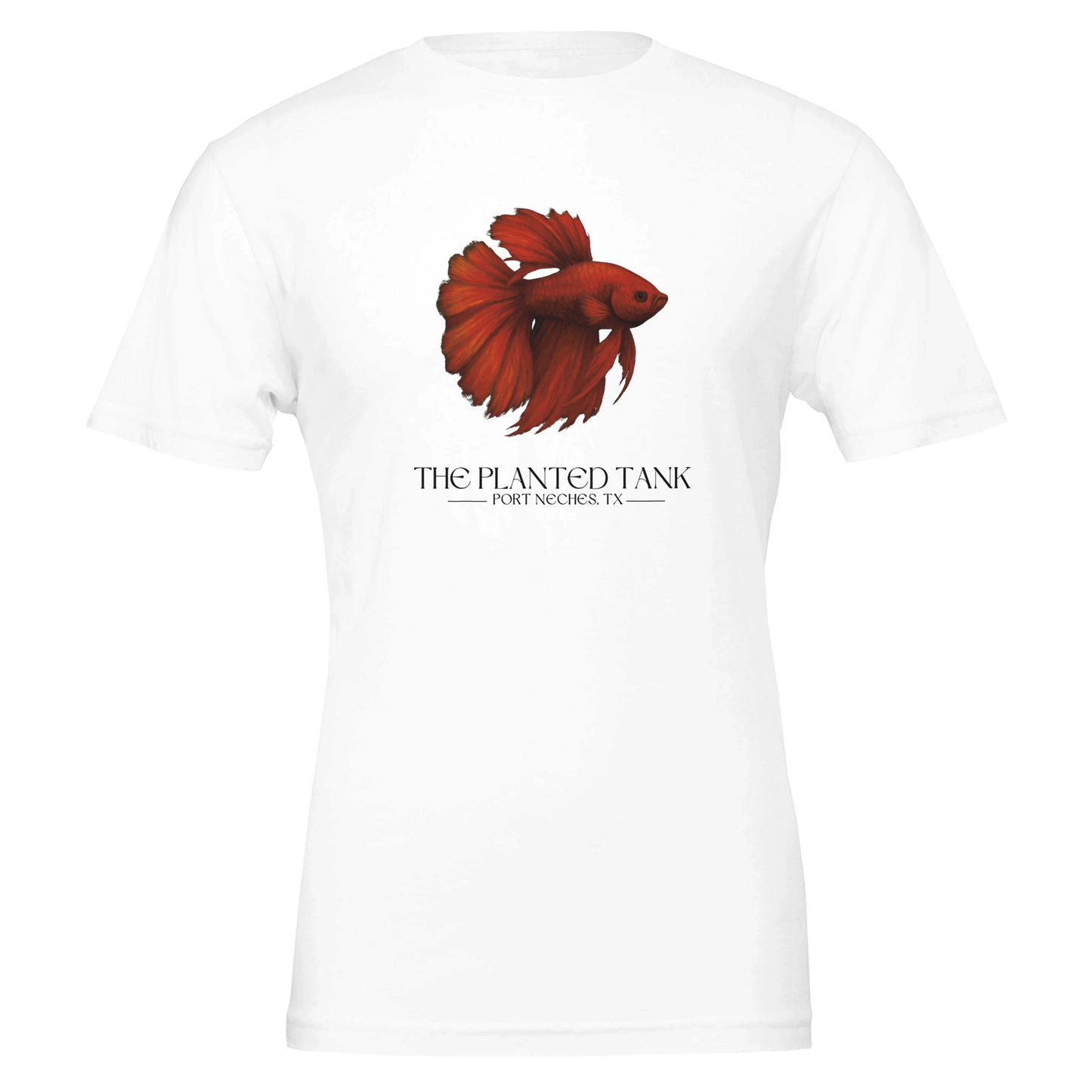 dcb01bac-4e45-4e4c-a894-fc00b744894e